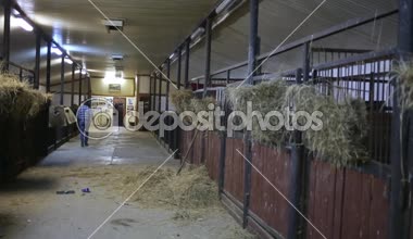 Kovboy at istikrarlı yürür