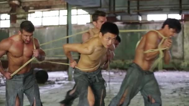 Half naked men pull ropes — Stock Video