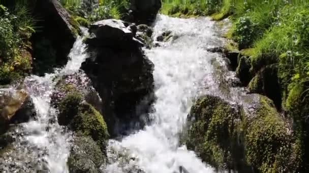 Beekje onder stenen — Stockvideo