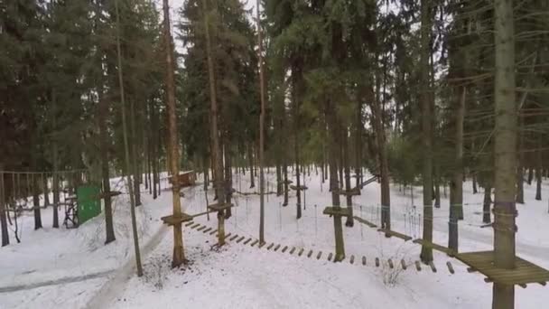 Поле препятствий с веревочными мостами на деревьях — стоковое видео
