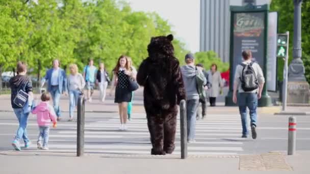 Vestidos de ator em terno de urso — Vídeo de Stock