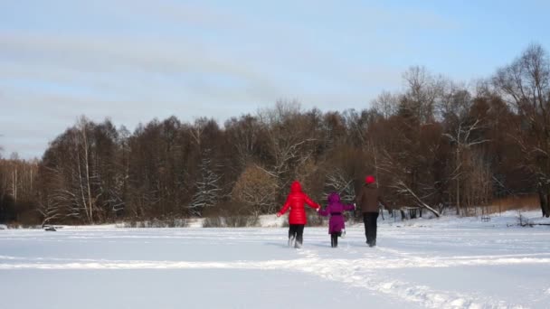 Familie die dwars over de besneeuwde glade — Stockvideo