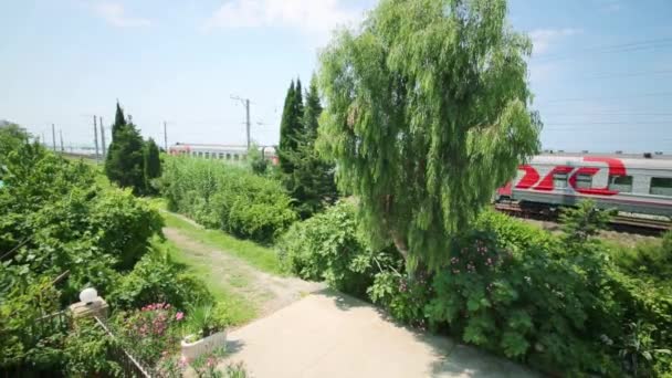 Garden and railroad tracks with train — Stock Video