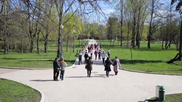 Niños caminando en el parque — Vídeo de stock