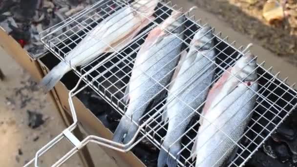 Pescado en canasta y pinchos con carne — Vídeos de Stock