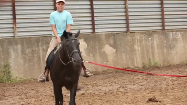 Menino faz exercício enquanto monta cavalo escuro baía em círculo na área aberta — Vídeo de Stock