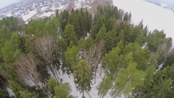 Floresta com pontes de corda em árvores — Vídeo de Stock