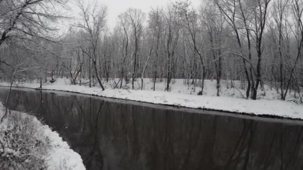 Yauza river among trees — Stock Video