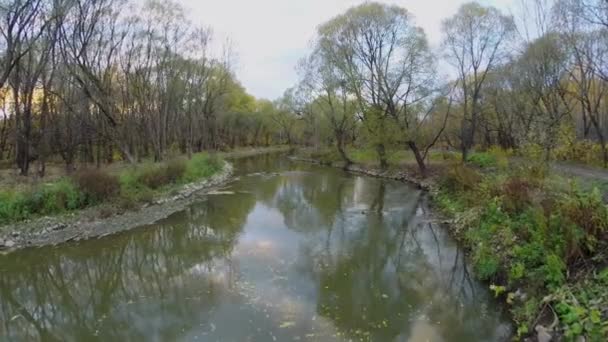 A növények visszaverik a víz a Jauza folyó — Stock videók