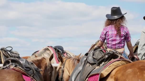 Man and woman sit on fence among horses — Stock Video