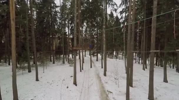 Puente de cuerda sobre árboles en bosque nevado — Vídeo de stock