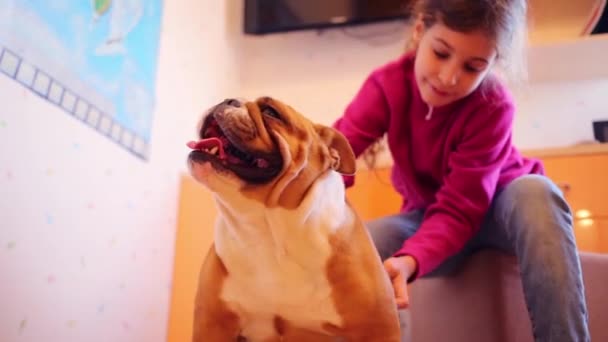 Hübsches Mädchen berührt englische Bulldogge — Stockvideo