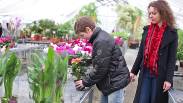 Boy gives flower pot  to mother — Stock Video