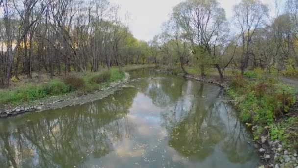 Yauza river in national park — Stockvideo