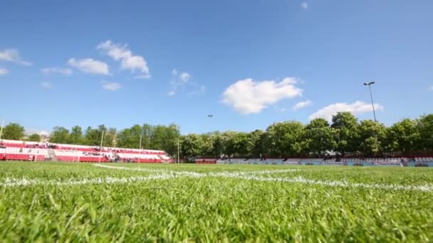 Trawa boisko do piłki nożnej bez graczy — Wideo stockowe