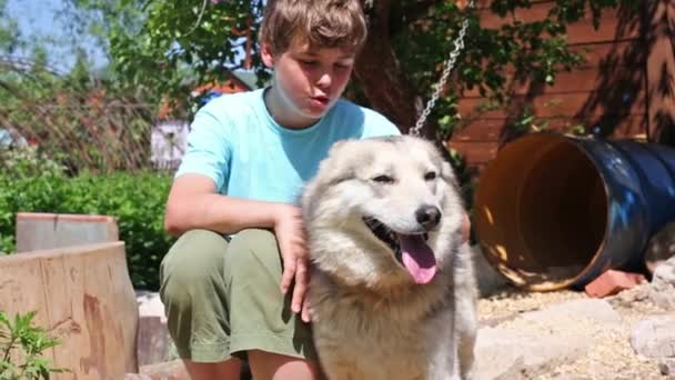 Stilig tonårs pojke med Husky hund — Stockvideo