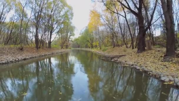 Surface d'eau ondulée avec feuilles tombées  