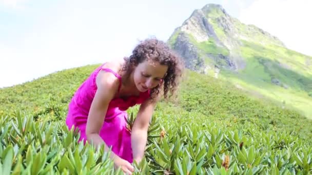 Mujer feliz en las montañas — Vídeos de Stock