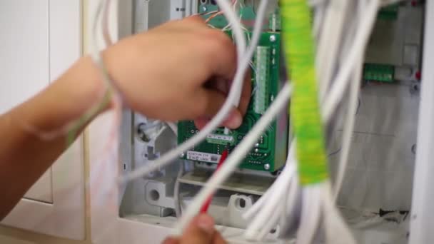 Technician fixes cable — Stock Video