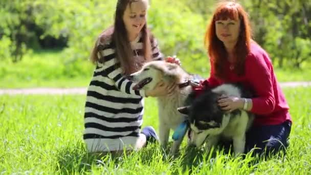 Madre e hija juegan con perros — Vídeos de Stock