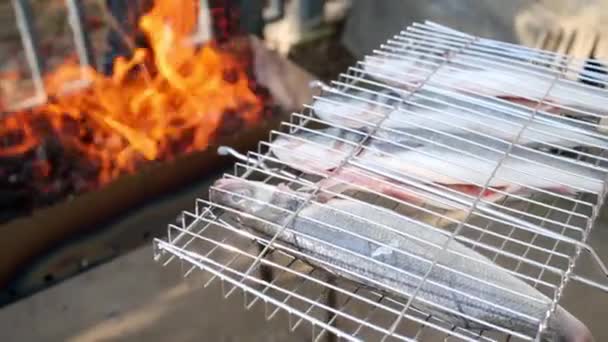 Grillkorb mit Fisch gegen Kohlenbecken — Stockvideo