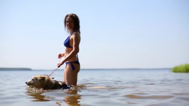 Pretty woman swimming with dog husky — Stock Video