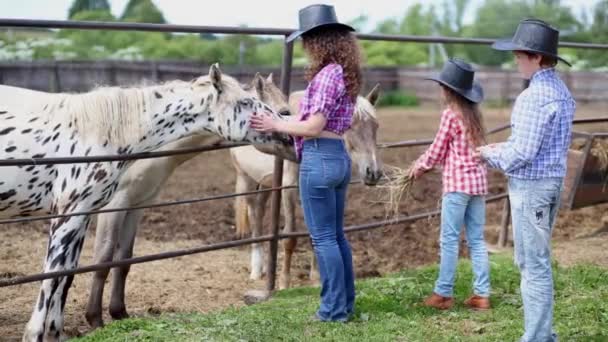Cowgirl und Kinder stehen mit Pferden am Zaun der Koppel — Stockvideo