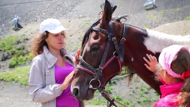 Mulher e menina cuidar cavalo — Vídeo de Stock