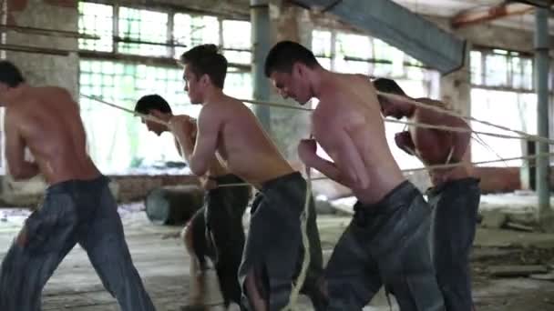 Hombres medio desnudos tiran de cuerdas — Vídeo de stock