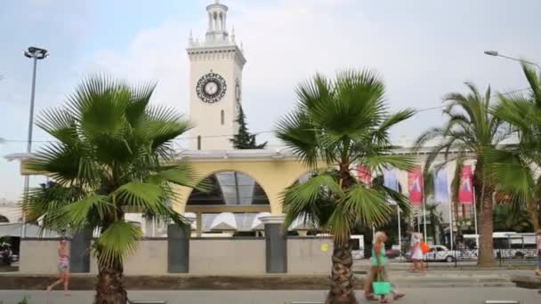 Железнодорожный вокзал и пальмы — стоковое видео