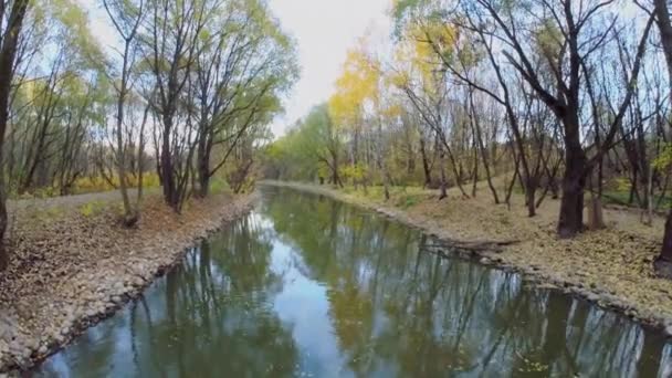 Vågig vattenyta med döda löv — Stockvideo