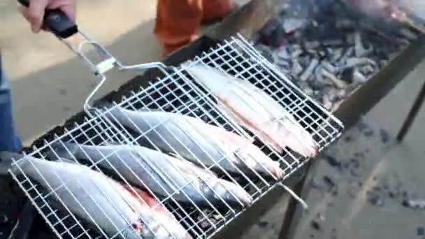Man grill zet mand met vis — Stockvideo