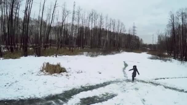 Mulher patinando por lago gelado — Vídeo de Stock