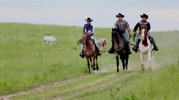 Cowboys galoppo su cavalli attraverso prato — Video Stock