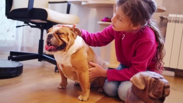 Pretty girl strokes English bulldog — Stock Video