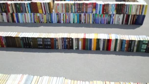 Labyrinthe construit de livres — Video