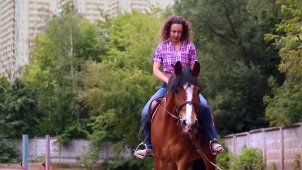 Jovem mulher monta em cavalo de baía — Vídeo de Stock