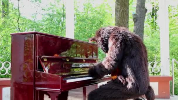 Актёр в костюме медведя играет на фортепиано — стоковое видео