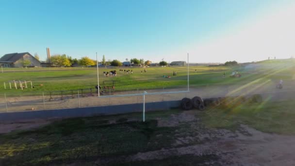 Futebol portão perto de campo de grama — Vídeo de Stock