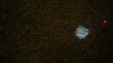 Kız ışık yakalamak 