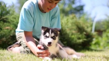 Çocuk komik köpek yavrusu husky ile oturur 