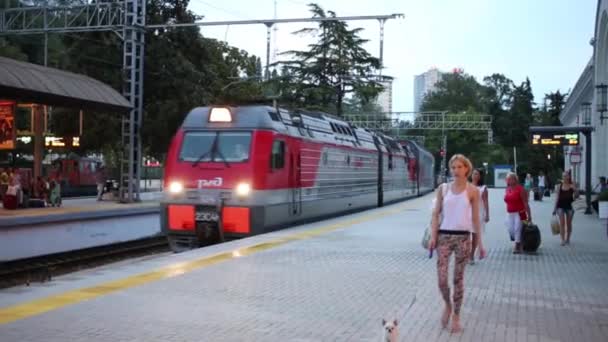 Zug kommt im Bahnhof an — Stockvideo