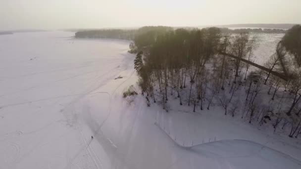 Bosque en la orilla del río Istra nevado — Vídeos de Stock