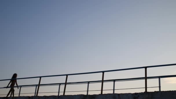 Silhouettes of girl and mother meeting on pier — Stock Video