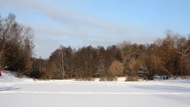 Familia corriendo a través de nieve glade — Vídeos de Stock