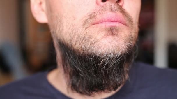 Красивий чоловік обличчям з чорною бородою — стокове відео