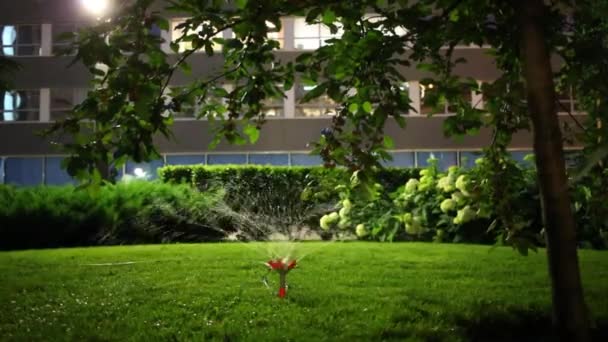 Sprinklerů zalévání trávníku — Stock video