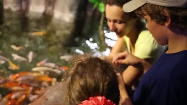 Anya és a gyerekek a takarmány halak — Stock videók