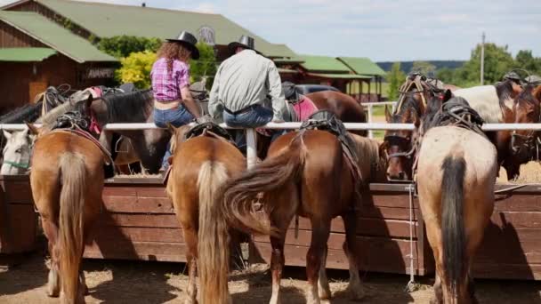 Homme et femme assis sur la clôture au enclos parmi les chevaux — Video