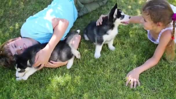 Niño y niña con cachorros husky — Vídeos de Stock